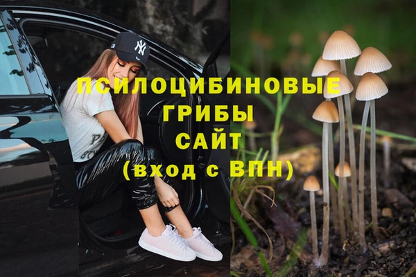 прущий лед Лабытнанги