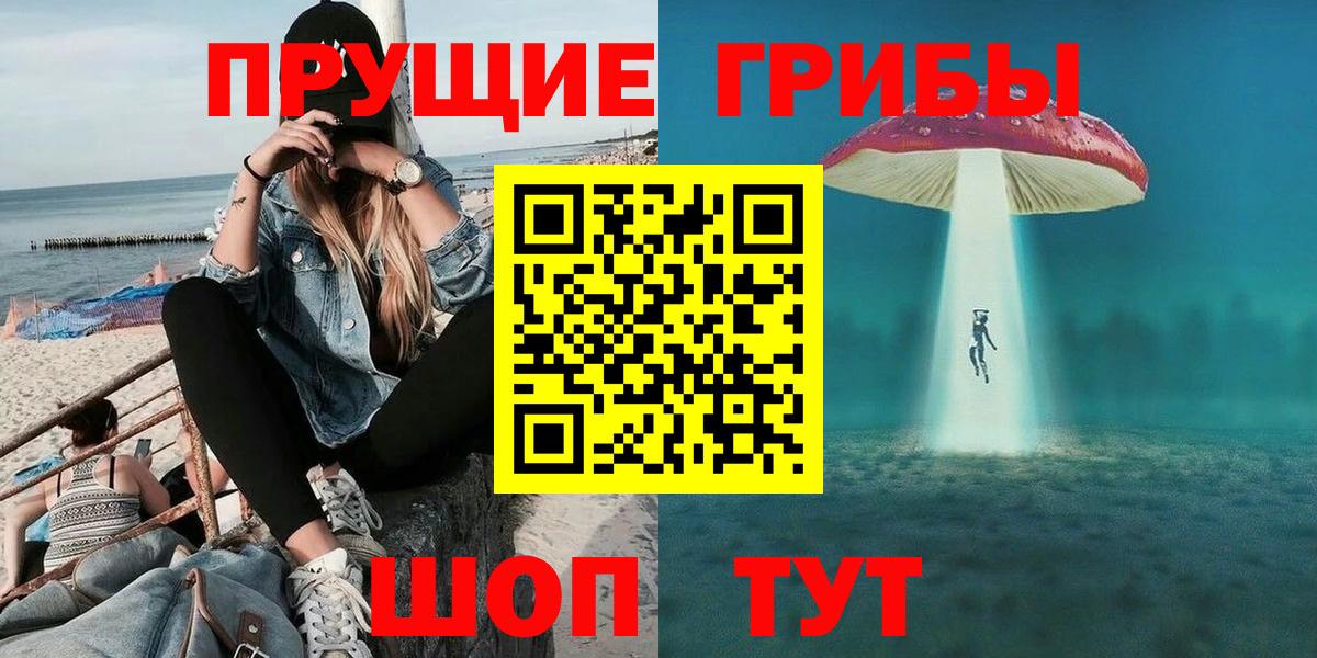 Галлюциногенные грибы Psilocybe  Вход с VPN  Чебаркуль 