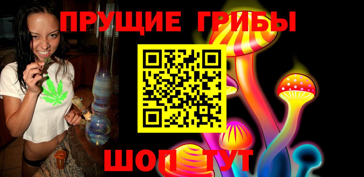 Псилоцибиновые грибы Psilocybe Чебаркуль